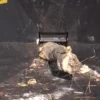 Log being fed into wood chipper.